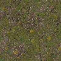 Asset preview